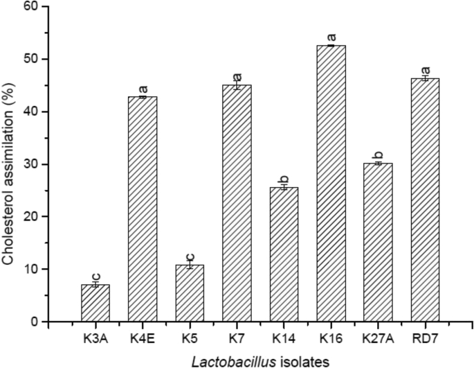 Fig. 7