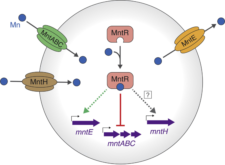 Figure 4: