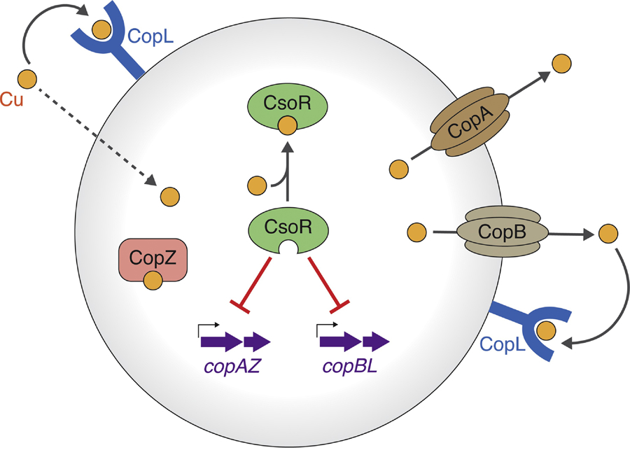 Figure 3: