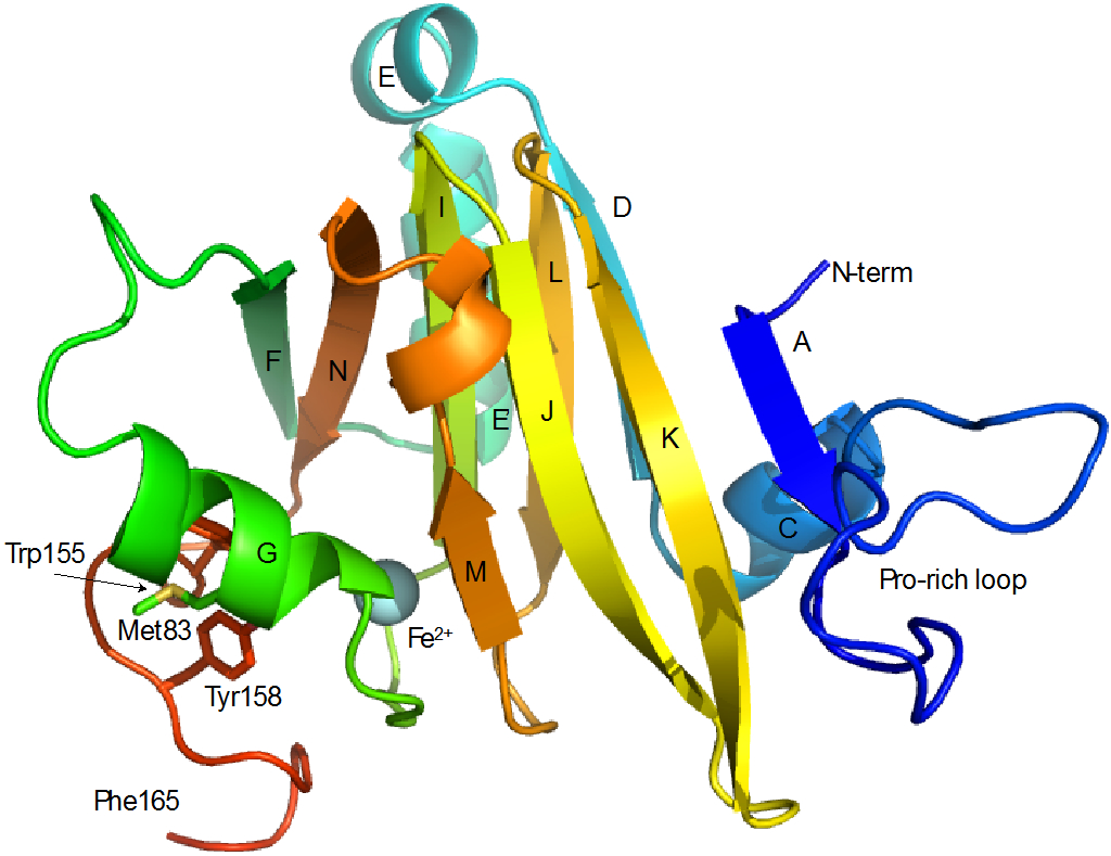 Figure 2.