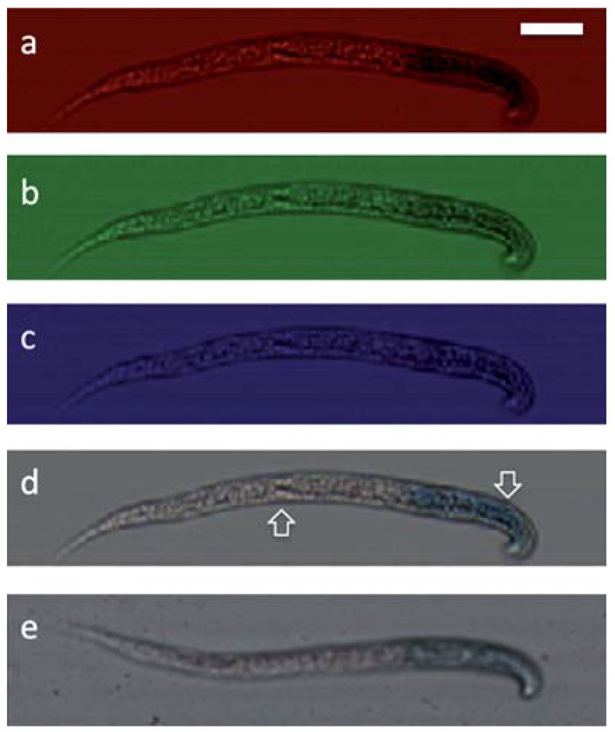 Fig. 4