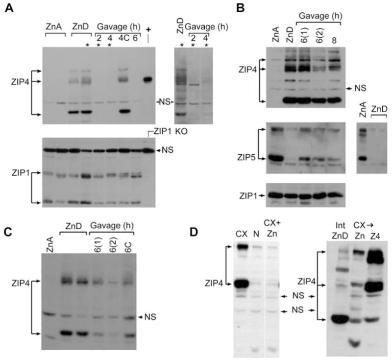 Figure 5