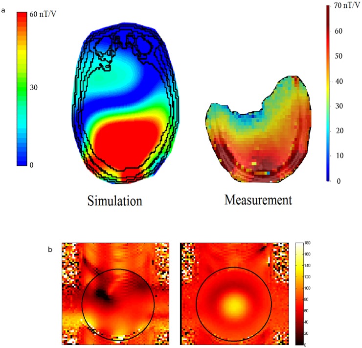 Fig 6