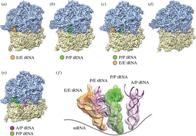 Figure 2.