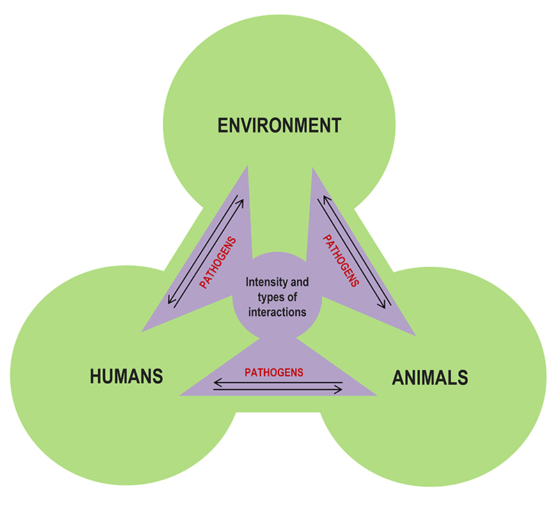 Figure 1 -