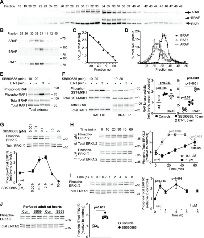 Figure 4.