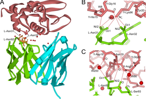 FIGURE 1.