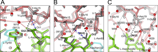 FIGURE 4.