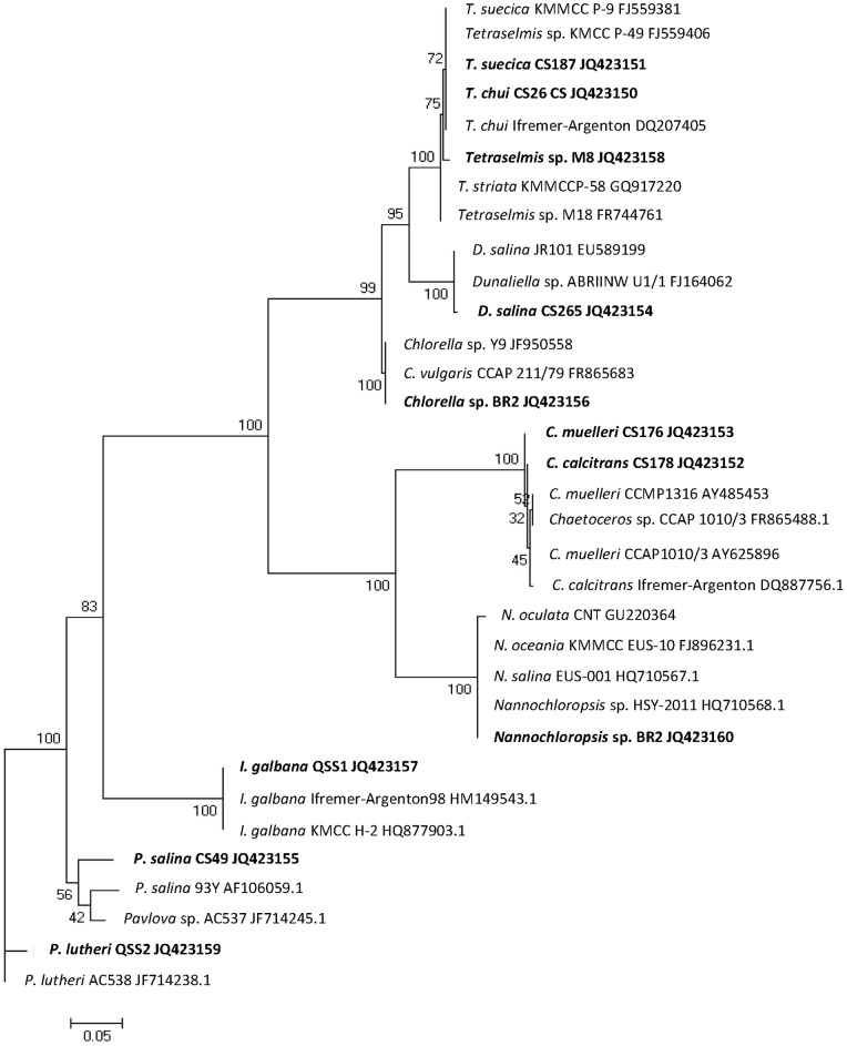 Figure 2