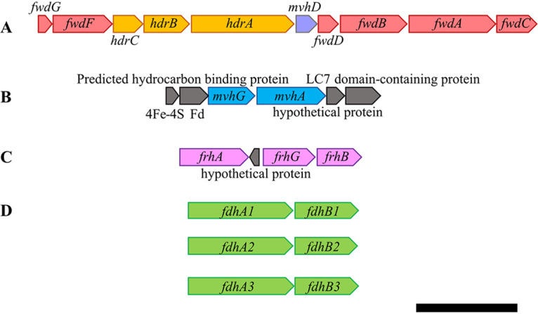 FIG 1