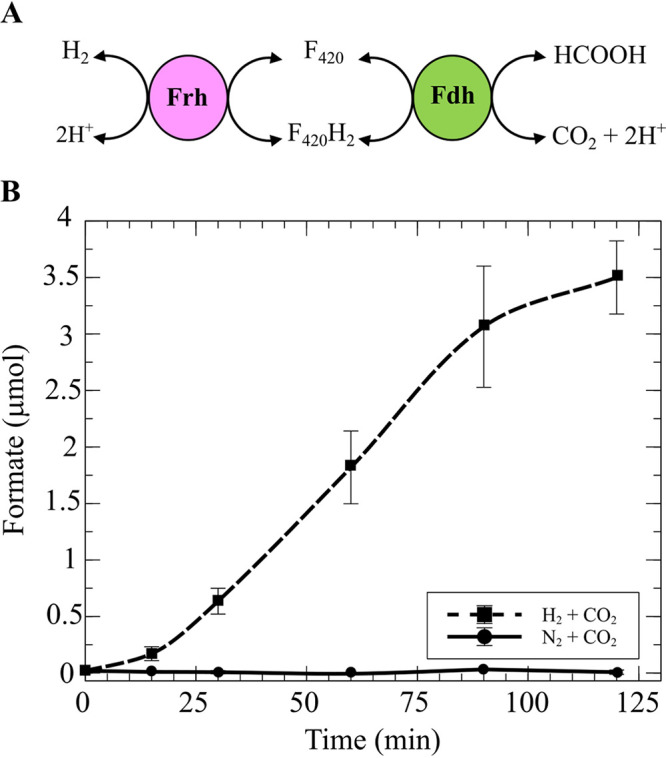 FIG 5