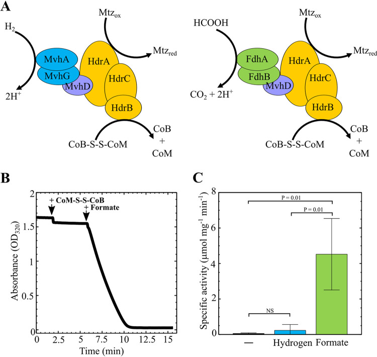 FIG 3