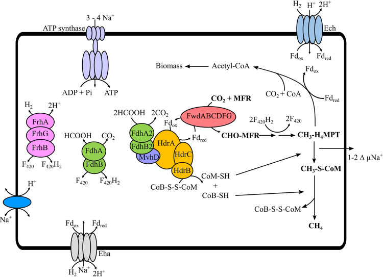 FIG 6