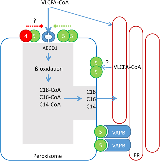 Figure 7