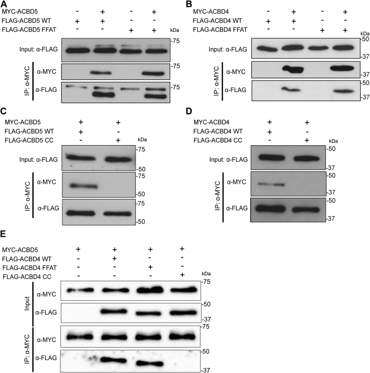 Figure 6