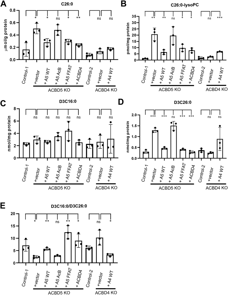 Figure 4