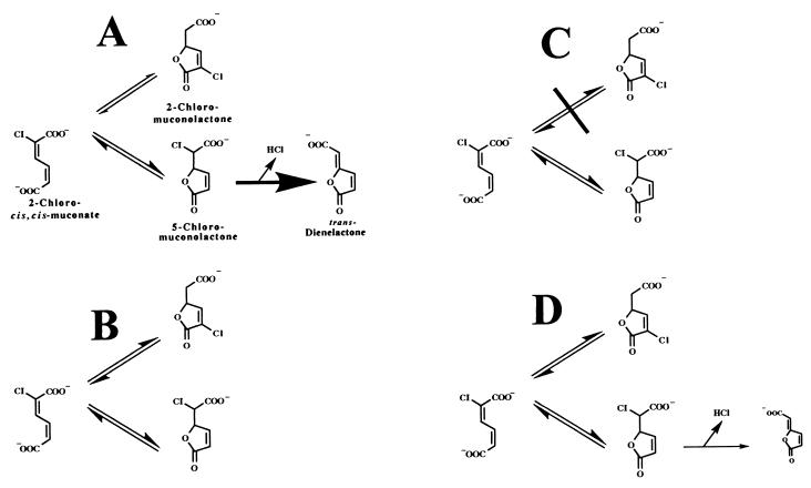 FIG. 5.