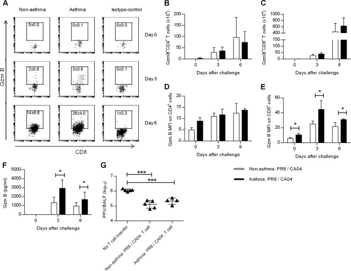 FIG 6