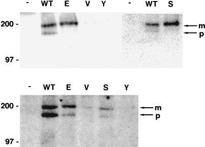 FIG. 10