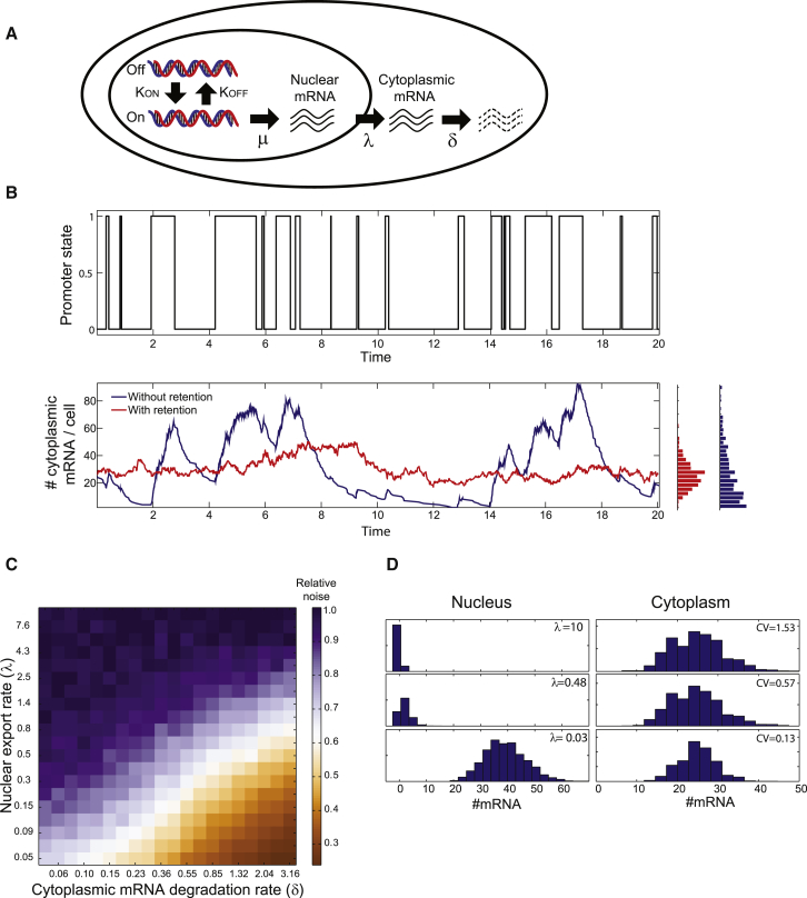 Figure 4