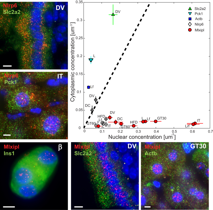 Figure 3