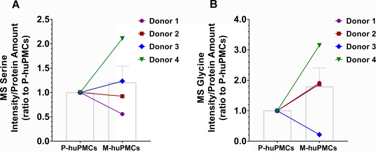 Figure 5—figure supplement 1.