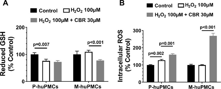 Figure 6—figure supplement 1.