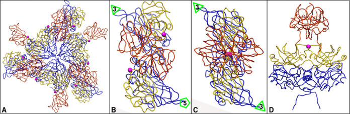 Fig. 6