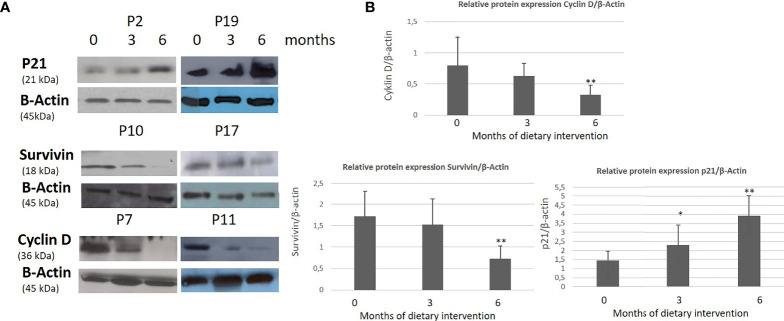 Figure 6