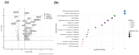 Generate a concise description for an image showing differentially expressed genes and significant pathways in SSc monocytes.