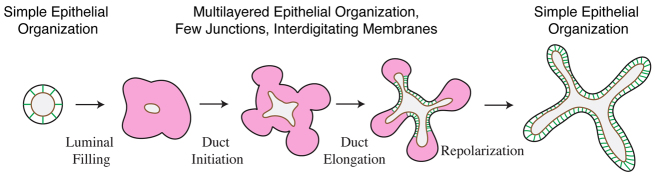 Fig. 10.