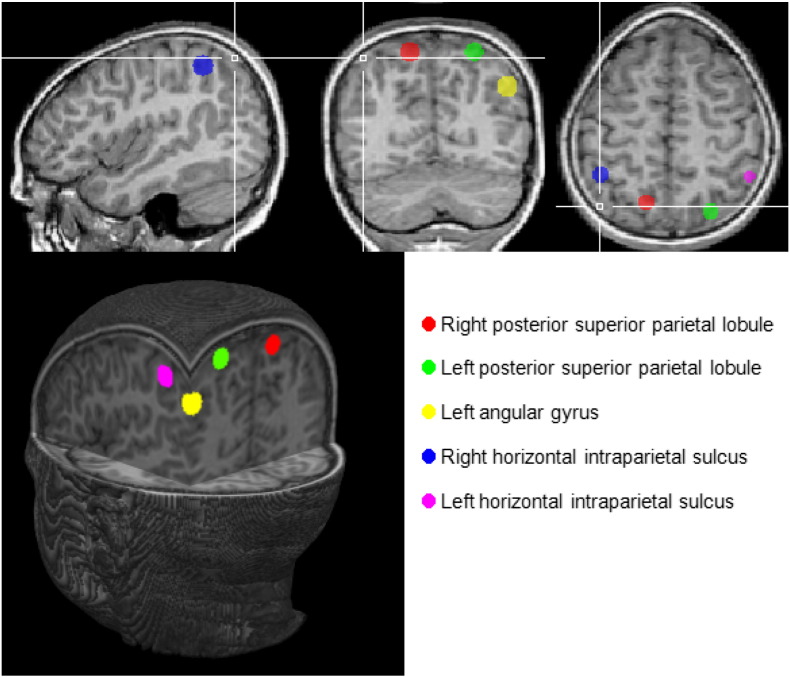 Fig. 2