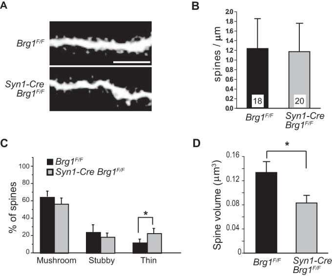 FIG 3