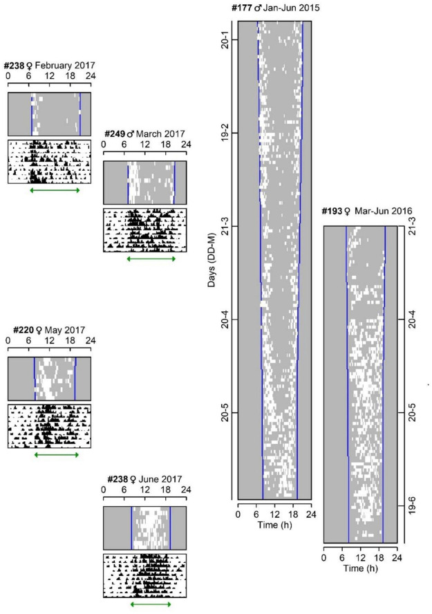 FIGURE 1