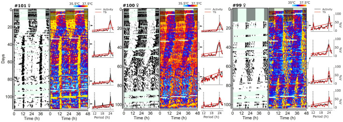 FIGURE 4