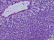 Figure 6: