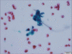 Figure 5: