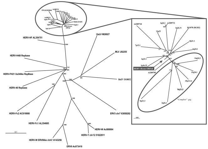 FIG. 1.