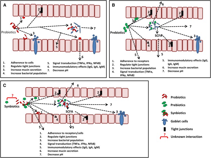 FIGURE 3