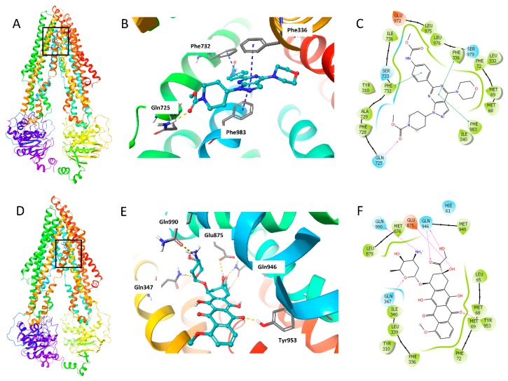 Figure 7