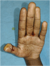 Fig. 4c