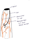 Fig. 2