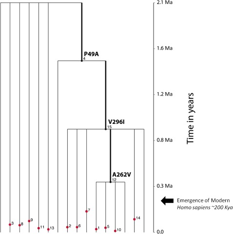 FIG. 4.