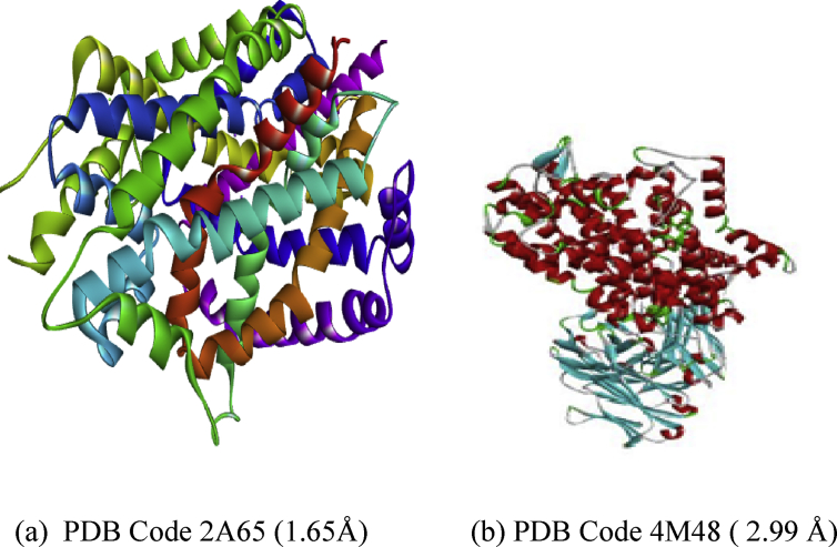 Fig. 1