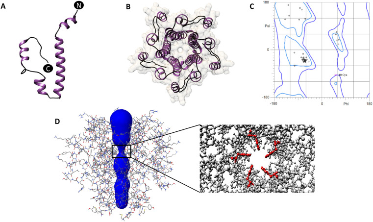 Fig. 2