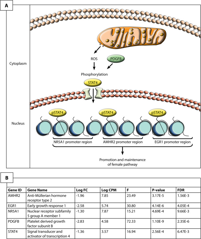 Fig 4