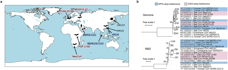 Fig. 1