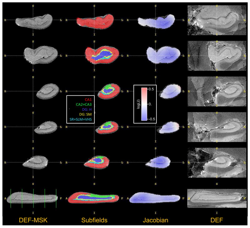 Fig. 12