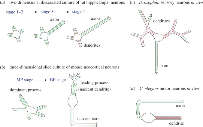 Figure 3.