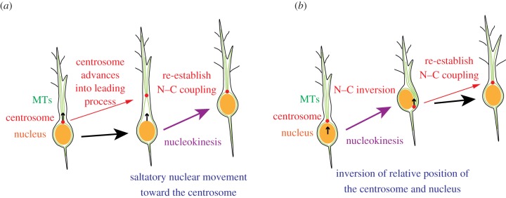 Figure 1.